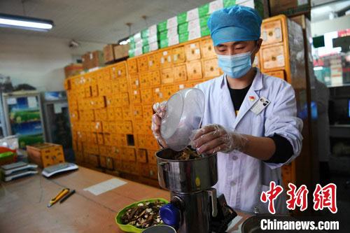 疫情發(fā)生以來，甘肅確保所有病例盡早、及時、全程使用中醫(yī)中藥，努力做到“一患一方案”。(資料圖) 楊艷敏 攝