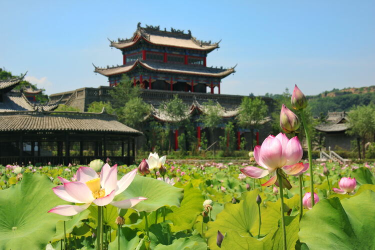 【云游渭南】心中若有桃花源，此處便是水云間！待疫情散盡，一起來渭南桃花源賞美景、觀民俗、享美食_fororder_2